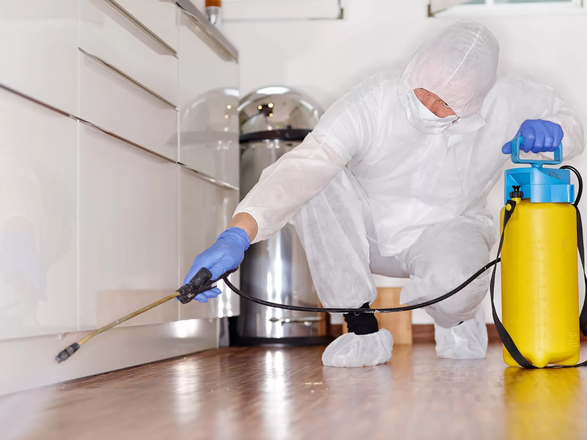 Dedetização de pragas urbanas: é melhor prevenir do que remediar