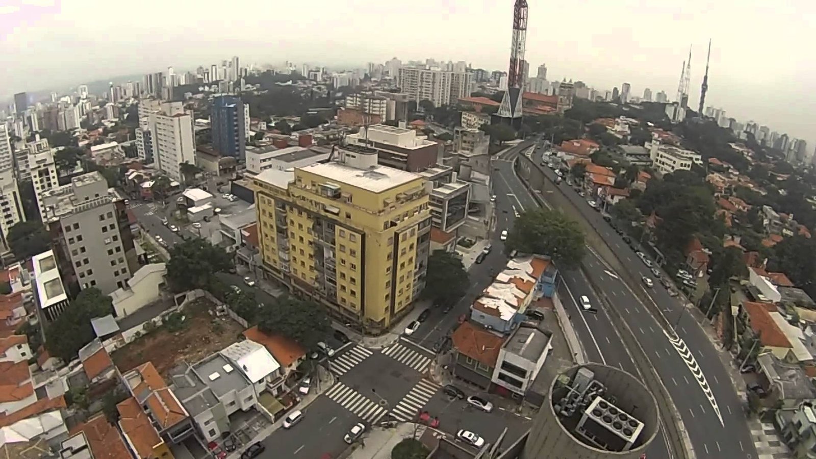 Pragas urbanas: quais as maiores ameaças