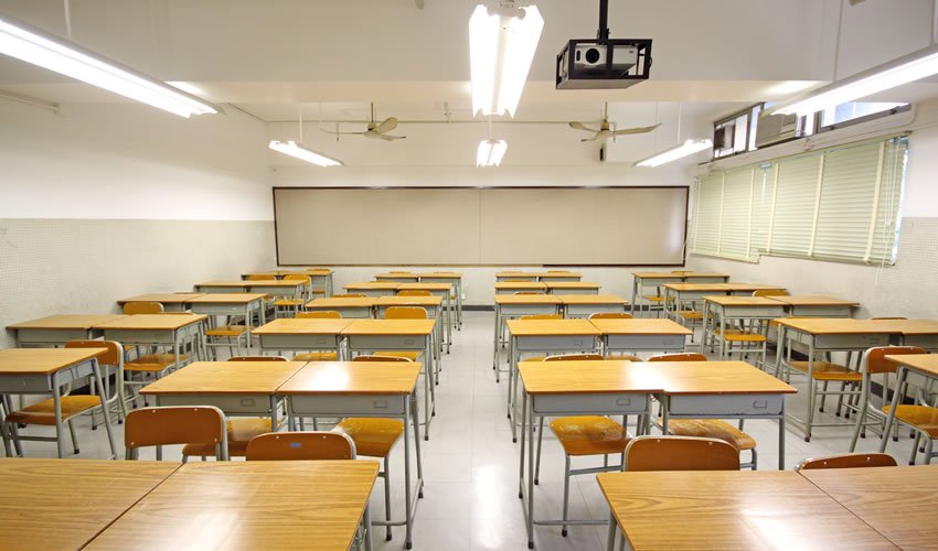 Dedetização de escolas: por que é tão importante