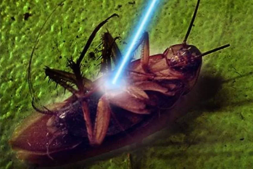 Laser inteligente: a nova arma para acabar com as baratas